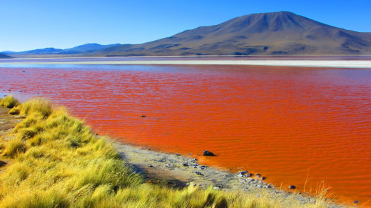 Bild-Nr: 11089931 Laguna Colorada Erstellt von: Galactico89
