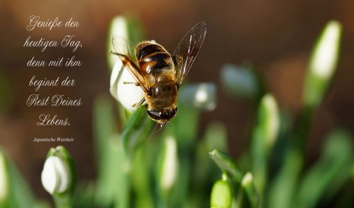 Bild-Nr: 11174538 Life Erstellt von: youhaveadream