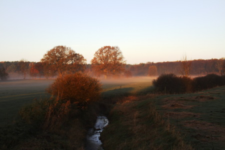 Bild-Nr: 11188018 Herbstmorgen 01 Erstellt von: travelandart