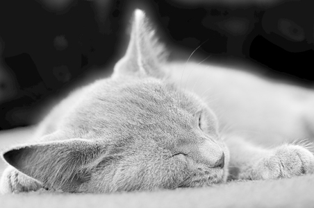 Bild-Nr: 11213868 entspannt Erstellt von: Gisie