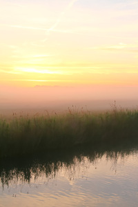 Bild-Nr: 11277832 Nebel über den Ruhrwiesen Erstellt von: falconer59