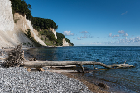 Bild-Nr: 11315976 Kreidefelsen im Jasmund-Nationalpark, Rügen, Ostsee, Deutschland Erstellt von: orxy