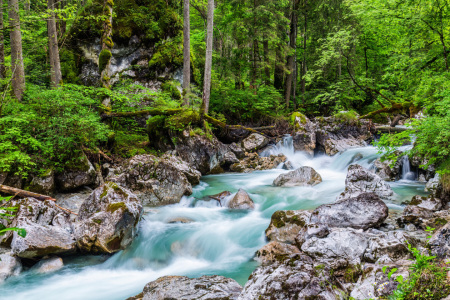 Bild-Nr: 11316810 ungezähmte Natur Erstellt von: Daniela Beyer