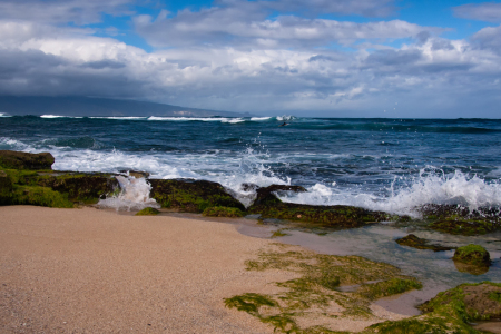 Bild-Nr: 11368819 Maui - Am Beach Erstellt von: TomKli