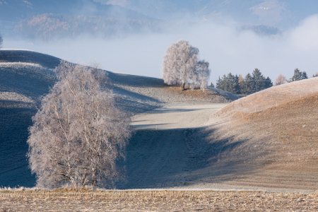 Bild-Nr: 11392263 Herbstlandschaft - Tirol Erstellt von: laroche