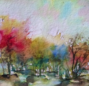 Bild-Nr: 11416017 Wälder Erstellt von: LIzArte