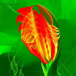 Bild-Nr: 11421623 Fantasieflower Erstellt von: EAGLE