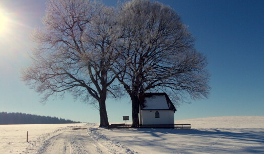 Bild-Nr: 11446059 Winter im Allgäu Erstellt von: dusia1947