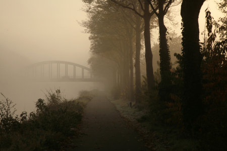 Bild-Nr: 11452204 Herbstnebel 3 Erstellt von: KundenNr-285037