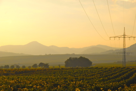 Bild-Nr: 11462342 Herbststimmung bei Landau 1 Erstellt von: Palamo