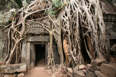 Bild-Nr: 11530738 Angkor Wat Erstellt von: FotoArt-Indermuehle