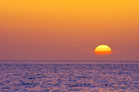 Bild-Nr: 11534668 Sunset - Insel Amrum Erstellt von: Angela  Dölling
