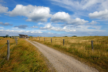 Bild-Nr: 11552862 Wanderweg bei Schönhagen Erstellt von: Ostfriese