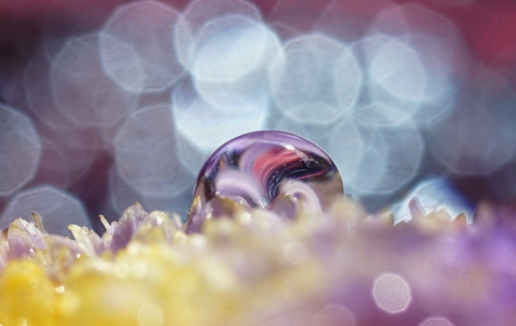 Bild-Nr: 11556070 Firework Erstellt von: youhaveadream