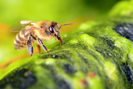 Bild-Nr: 11565428  Wasser gehört zum Leben Erstellt von: Ostfriese