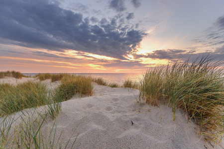 Bild-Nr: 11576770 Dünenzauber an der Ostsee Erstellt von: David Gärtner