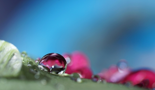 Bild-Nr: 11582286 Wiesen-Akzente Erstellt von: youhaveadream