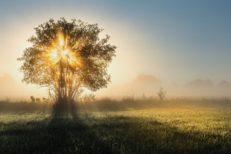 Bild-Nr: 11597464 Zurück ins Licht Erstellt von: David Gärtner