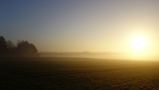 Bild-Nr: 11643382 Ein neuer Tag Erstellt von: LiaF