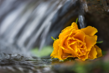 Bild-Nr: 11653476 im Strom Erstellt von: Richard-Young