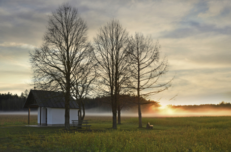 Bild-Nr: 11659150 Morgenmeditation Erstellt von: SusaZoom