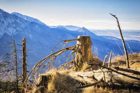 Bild-Nr: 11659670 Landschaft auf dem Jochberg Erstellt von: Wolfgang Zwanzger