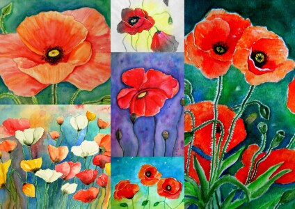 Bild-Nr: 11696526 Mohnblumen-Collage Aquarelle Malerei Erstellt von: siegfried2838