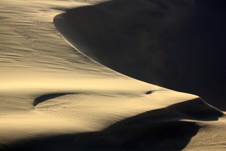 Bild-Nr: 11702666 Dünendetail Erstellt von: Nicola Furkert