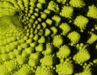 Bild-Nr: 11708352 Drachengemüse Erstellt von: Nicola Furkert