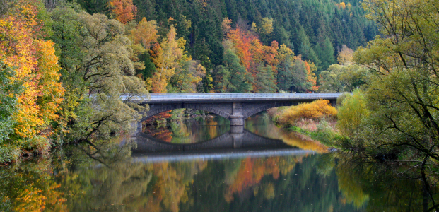 Bild-Nr: 11713596 Bogenbrücke in Scharfenstein Erstellt von: LarsBraune