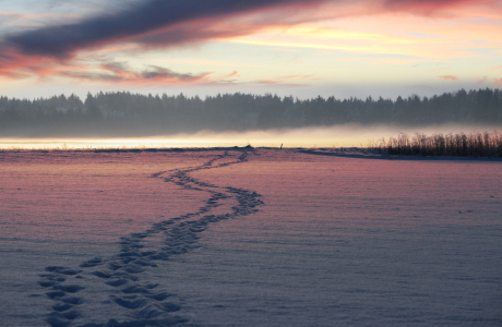 Bild-Nr: 11761304 Winterabend Erstellt von: SusaZoom