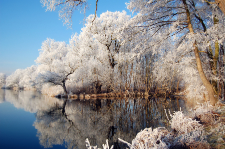 Bild-Nr: 11771580 Winter im Havelland Erstellt von: AFrostFotografie