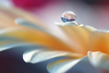 Bild-Nr: 11803332 Values of nature Erstellt von: youhaveadream