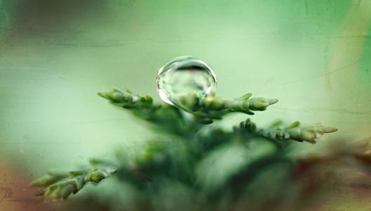 Bild-Nr: 11807754 Picked up Erstellt von: youhaveadream