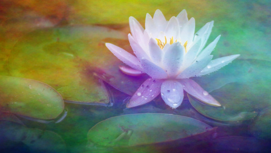 Bild-Nr: 11896943 Shady Lady Erstellt von: D. Toelke DigiArt / Photography