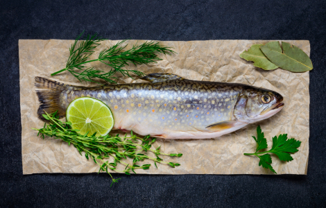 Bild-Nr: 11903766 Frisher Fisch Erstellt von: xfotostudio