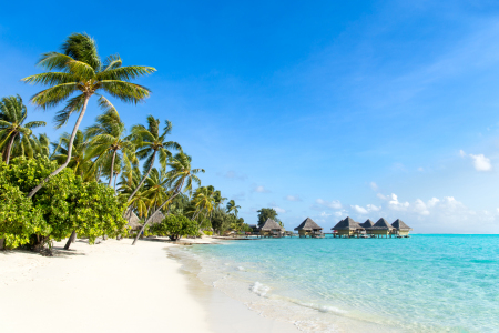 Bild-Nr: 11931950 Urlaub am Palmenstrand in der Südsee Erstellt von: eyetronic