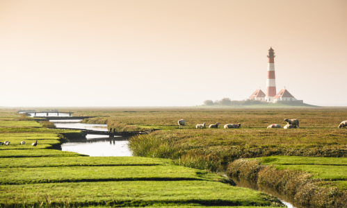 Bild-Nr: 11945815 Beim Leuchtturm Erstellt von: Werner Reins