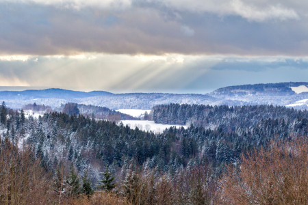 Bild-Nr: 11969251 Winter im Bayrischen Wald Erstellt von: DirkR