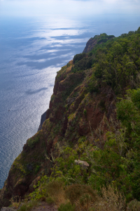 Bild-Nr: 12015701 Steilküste am Cabo Girao auf Madeira Erstellt von: Dennis Gross