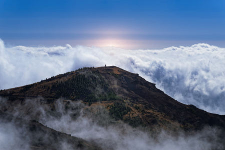Bild-Nr: 12016541 Über den Wolken Erstellt von: Dennis Gross