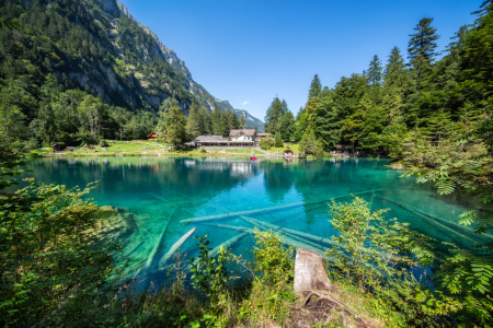 Bild-Nr: 12097504 Blausee  Erstellt von: eyetronic
