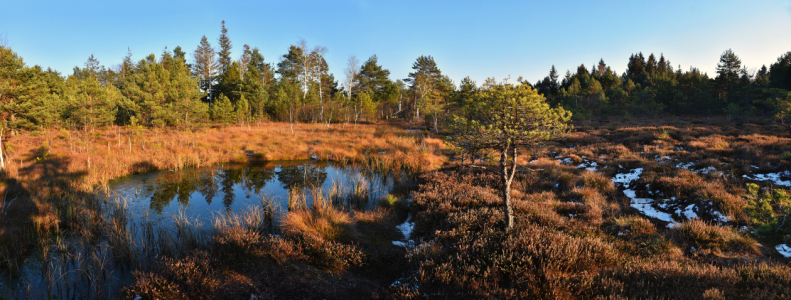 Bild-Nr: 12117753 Moorlandschaft mit Weiher Erstellt von: SusaZoom