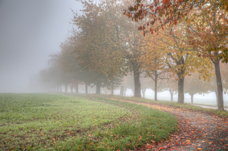 Bild-Nr: 12127035 Herbst Erstellt von: shaas737