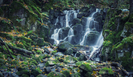Bild-Nr: 12147331 Wasserfall im Wald Erstellt von: luxpediation