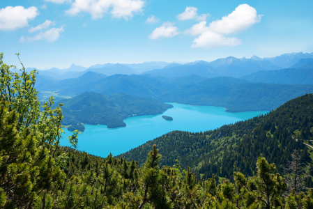 Bild-Nr: 12165757 Walchenseeblick vom Herzogstand Erstellt von: SusaZoom