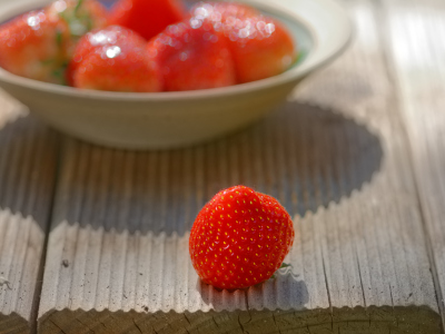 Bild-Nr: 12199231 Frische Erdbeeren Erstellt von: Rolf Eschbach