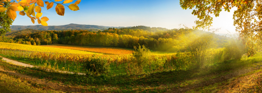 Bild-Nr: 12231095 Ländliche Landschaftskulisse im Herbst Erstellt von: Smileus