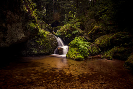 Bild-Nr: 12373726 Mystic Erstellt von: Thomas Koch