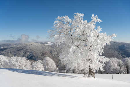 Bild-Nr: 12388561 Winter auf dem Schauinsland im Schwarzwald Erstellt von: Michael Valjak